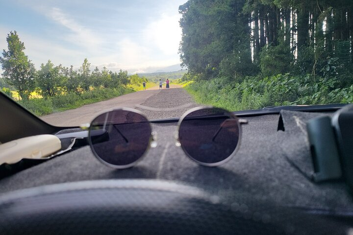 Private Day Tour Korea DMZ & Majang Reservoir Suspension Bridge  - Photo 1 of 8